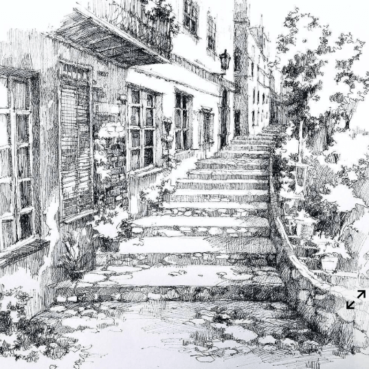 Ink Sketch